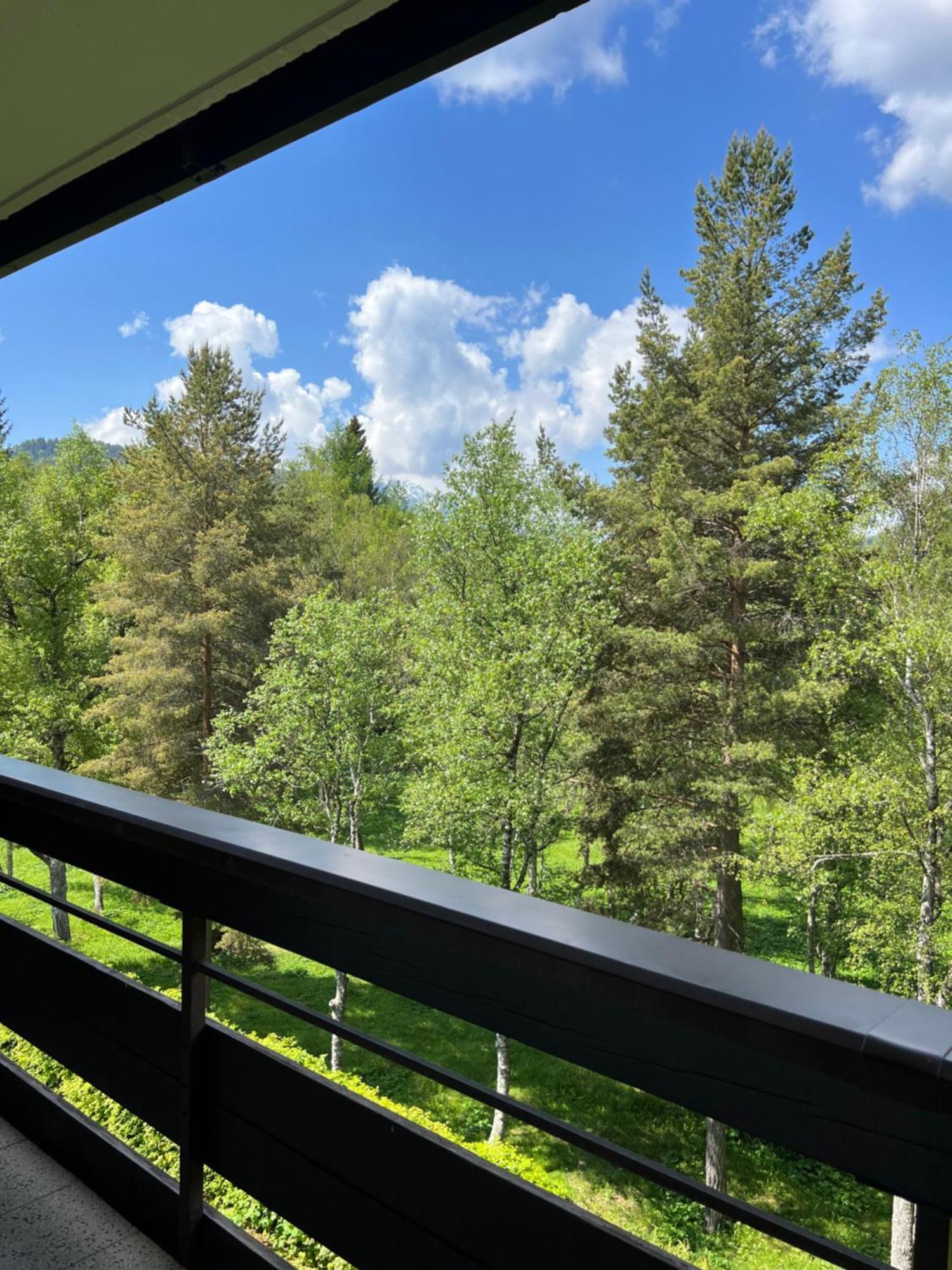 Appartementhaus Birkenwald 제펠드 인 티롤 외부 사진